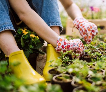 Horticulture